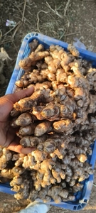ഫോട്ടോ 3