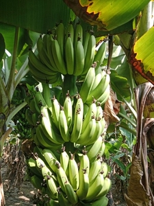 ಫೋಟೋ 2