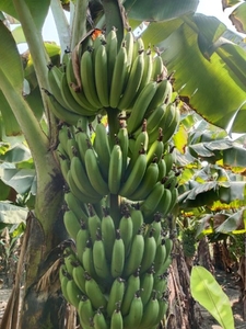 ಫೋಟೋ 3