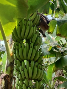 ಫೋಟೋ 4