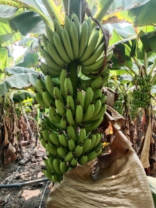 ಫೋಟೋ 5