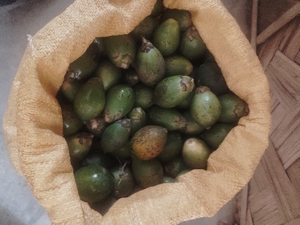 ವೀಳ್ಯದೆಲೆ