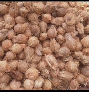 ತೆಂಗಿನಕಾಯಿ