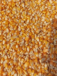 മക്ക