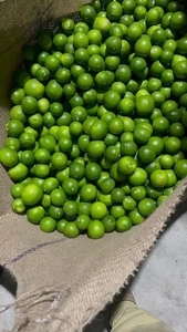 எலுமிச்சை