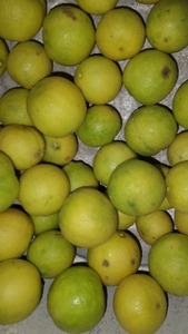 നാരങ്ങ