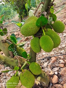 ಫೋಟೋ 3