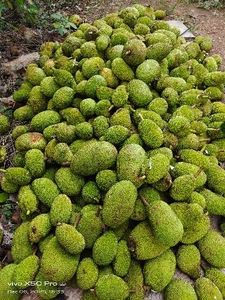 ಫೋಟೋ 5