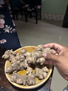 இஞ்சி
