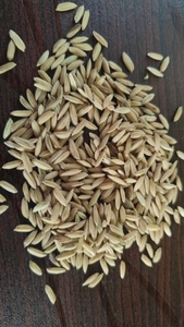ഫോട്ടോ 2