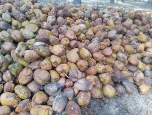 படம் 2