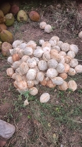 படம் 4