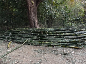 ഫോട്ടോ 3