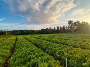 ഫോട്ടോ 3