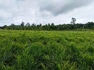 ഫോട്ടോ 4