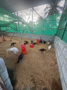 ఫోటో 2