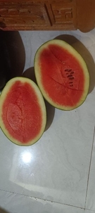 పుచ్చకాయ