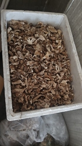 ఫోటో 4