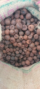 ವೀಳ್ಯದೆಲೆ