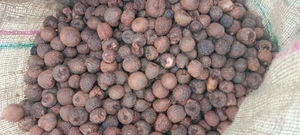 ವೀಳ್ಯದೆಲೆ