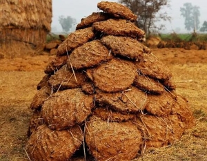 ചാണകം