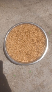 ഫോട്ടോ 2