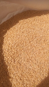 ഫോട്ടോ 5