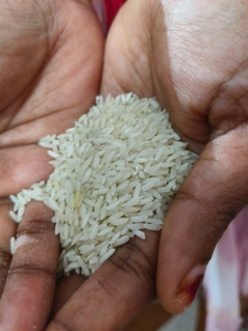 അരി