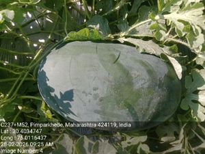 ഫോട്ടോ 3