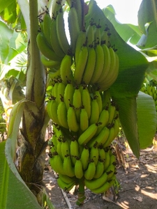 ఫోటో 2