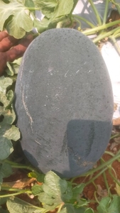 ಫೋಟೋ 3