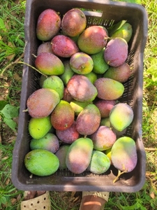 ഫോട്ടോ 2