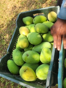 ഫോട്ടോ 4