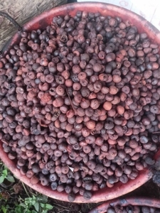 ಫೋಟೋ 2