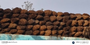 ఆవు పేడ