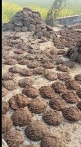फोटो 2
