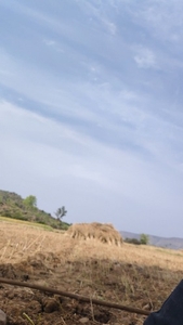 കടുക്