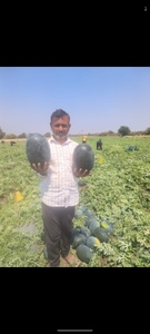 ಫೋಟೋ 3