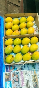 ഫോട്ടോ 3