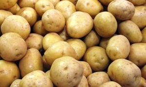 ಆಲೂಗಡ್ಡೆ