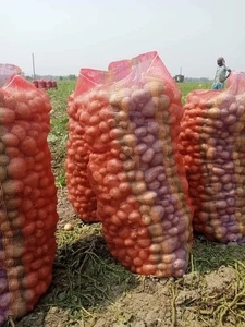 ಆಲೂಗಡ್ಡೆ