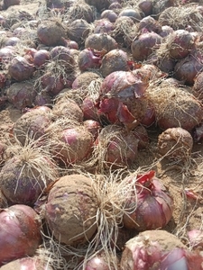 ഫോട്ടോ 3