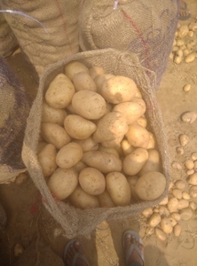படம் 2