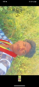 గుడ్డు