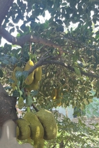 படம் 2