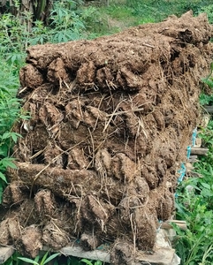 ചാണക കേക്ക്