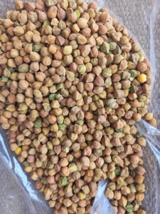 ചന