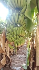 படம் 2