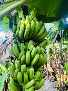 ఫోటో 2