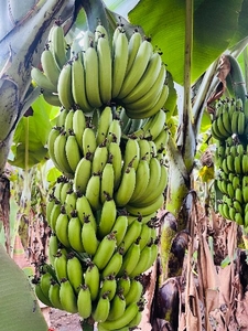 ఫోటో 4